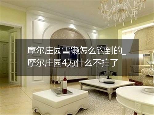 摩尔庄园雪獭怎么钓到的_摩尔庄园4为什么不拍了