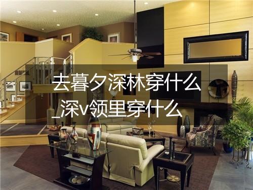 去暮夕深林穿什么_深v领里穿什么