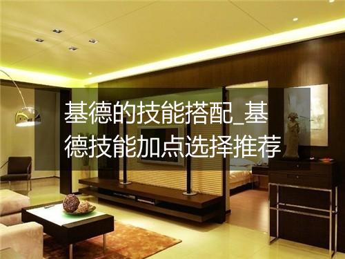 基德的技能搭配_基德技能加点选择推荐