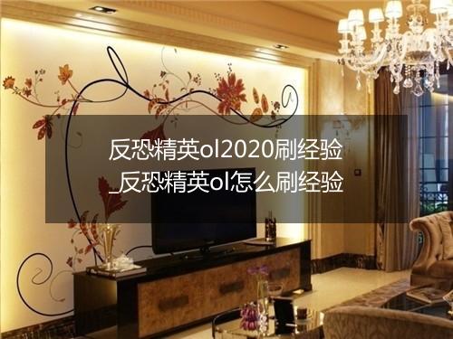 反恐精英ol2020刷经验_反恐精英ol怎么刷经验